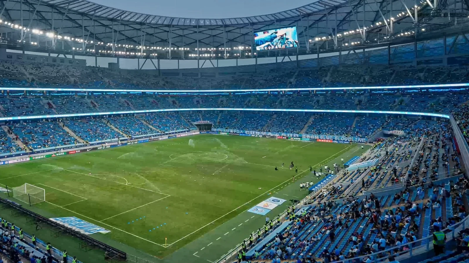 field-of-play